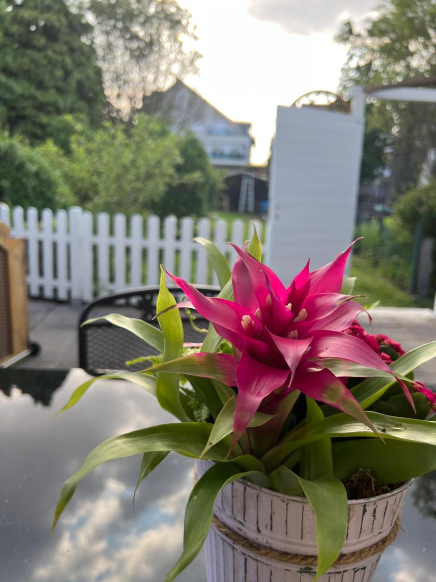 Auszeit Im Pott - Ferienwohnung Lavendel Herten  Kültér fotó